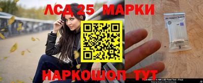 Альфа ПВП Аргун