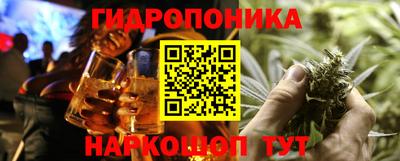 Альфа ПВП Аргун