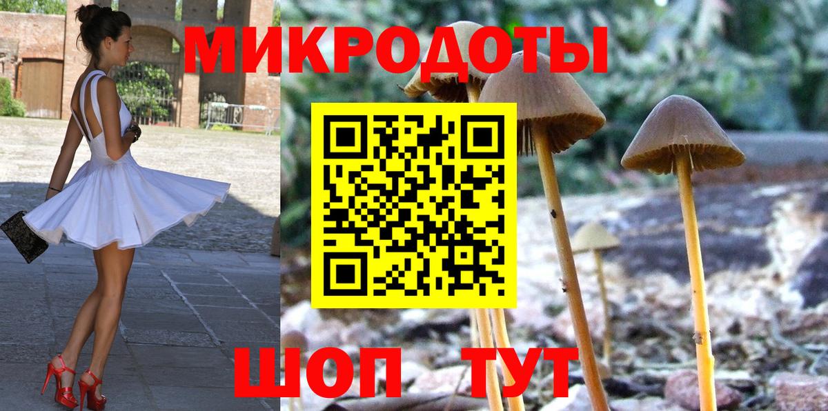 Галлюциногенные грибы MAGIC MUSHROOMS  Псилоцибиновые грибы Psilocybine cubensis  Владикавказ  Вход с VPN 