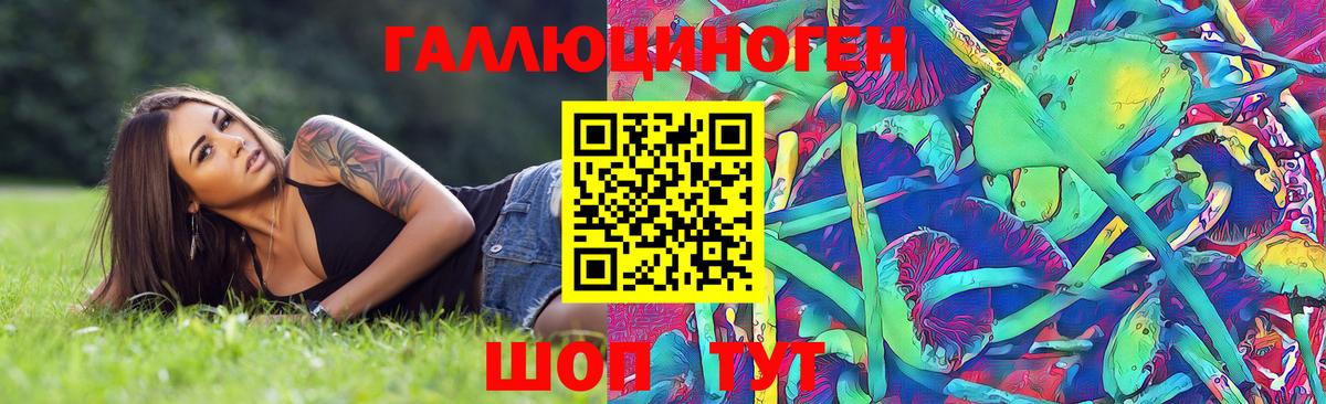 Псилоцибиновые грибы мицелий Владикавказ