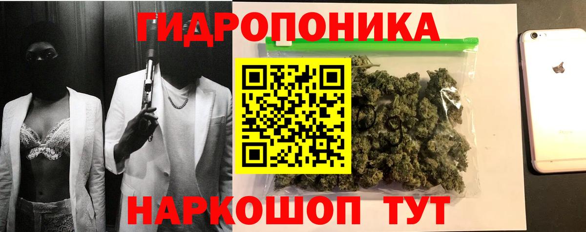 Каннабис OG Kush Владикавказ